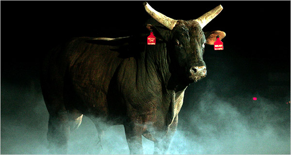NBA - Война с быками!