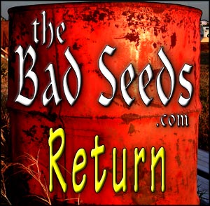 theBadSeeds.com > The Bad Seeds - Return album cover